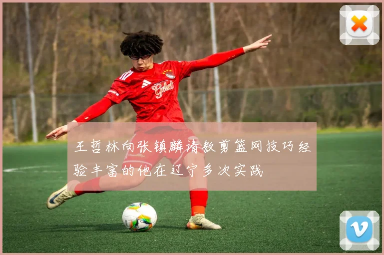王哲林向张镇麟请教剪篮网技巧经验丰富的他在辽宁多次实践