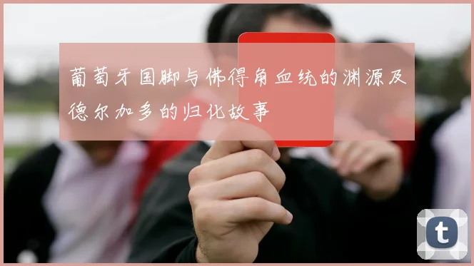 葡萄牙国脚与佛得角血统的渊源及德尔加多的归化故事