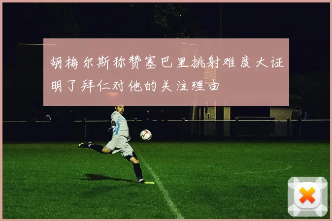 胡梅尔斯称赞塞巴里挑射难度大证明了拜仁对他的关注理由